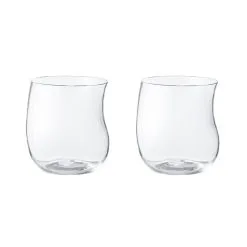 Georg Jensen Cobra Glas 2 Stk. 20 Cl