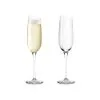 Eva Solo Vinglas Champagne 2 Stk. 20 Cl -Tallerkener butik 5706631046855 c11e655a b243 4f3f b0c8 b3d2d1c24daa